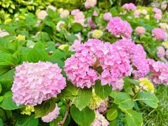 -常州古运河南大街文化旅游区-人民公园