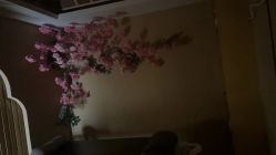 -永琪美容美发全国直营连锁