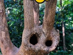 -上海佘山国家森林公园天马山园