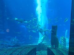 -亚特兰蒂斯•OSSIANO奥西亚诺海底餐厅