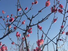 -终南山南五台景区