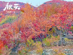 -周口店坡峰岭风景区