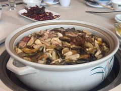 -爱膳菌锅锅(阳南店)