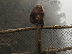 -峨嵋山金顶
