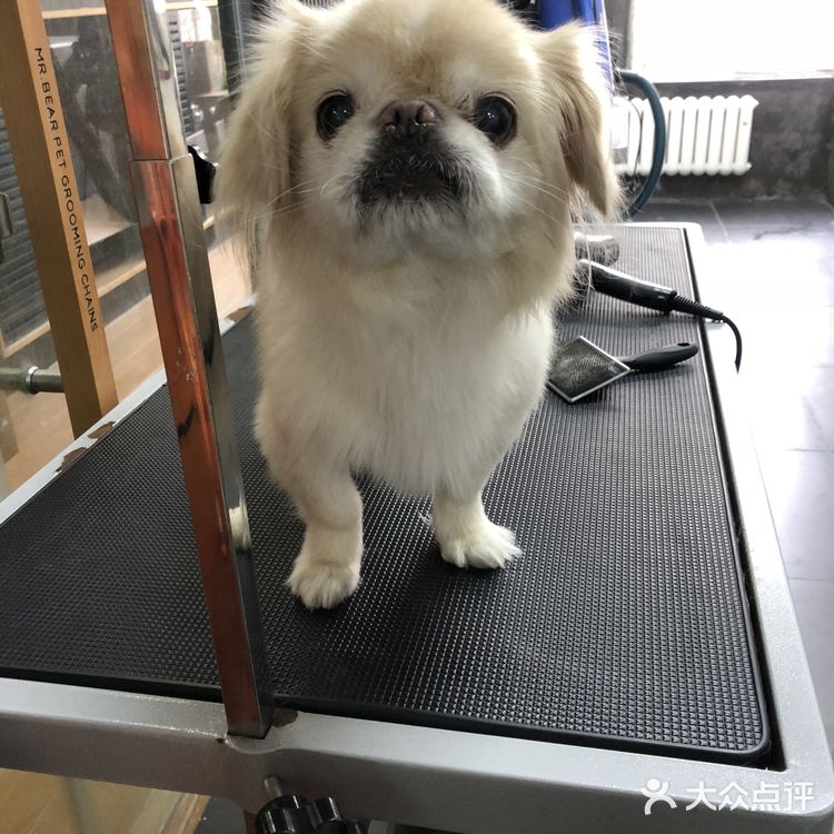 乒小乓，你想姐姐了吗？