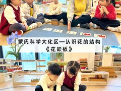 -金点蒙氏国际教育(悠然校区)