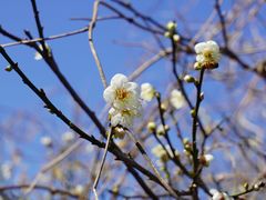 -广州市流溪河国家森林公园