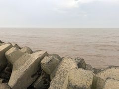 -南汇嘴观海公园