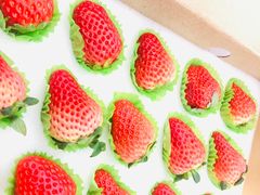 -盒马鲜生(大成店)