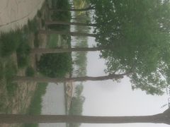 -天津东丽湖风景区