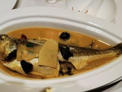 -香然会·园林雅宴(陆家嘴店)