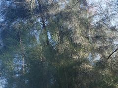 -白沙门生态公园