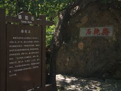 -阳台山自然风景区