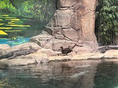 -上海海洋水族馆