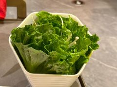 -润泽园椰子鸡(汇一城店)