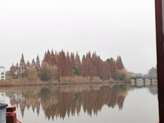 -苏州太湖国家湿地公园