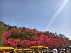 -木兰云雾山