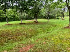 -盘龙城国家考古遗址公园