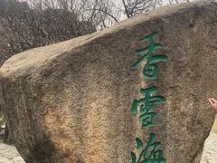 -香雪海