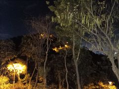 -聚龙山公园
