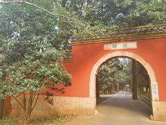 -灵谷景区