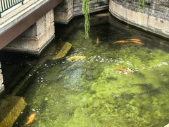 -峨嵋酒家(地安门店)
