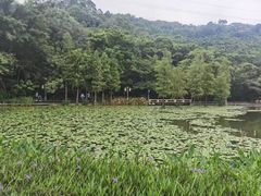 -顺峰山公园