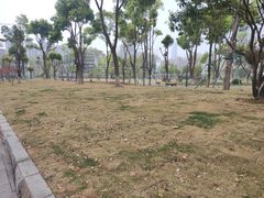 -后襄河公园