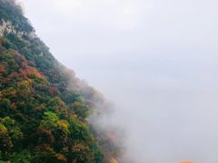 -少华山国家森林公园