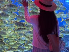 -海合安成都极地海洋公园