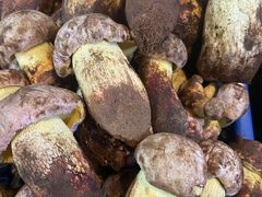 -滇铺子(欣都龙城店)