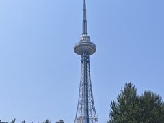 -龙塔