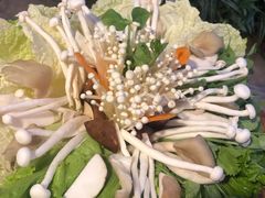 -大理老字号·舟渔的鱼野生菌海景餐厅(双廊店)