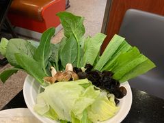 -老诚一锅·羊蝎子(广渠门外店)