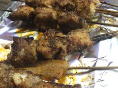 -晓靖轩烧烤(沙河风情店)