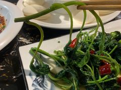 -熊猫家新派川菜(百里一·龙兴集店)