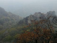 -嘉华国际旅行社有限公司