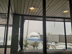 -纽瓦克自由国际机场