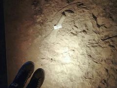 -世界恐龙谷景区