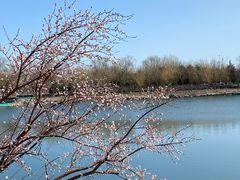 -大兴滨河森林公园