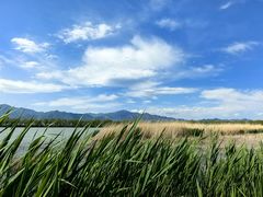 -野鸭湖国家湿地公园