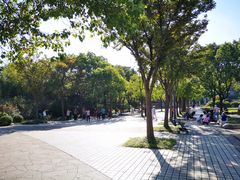 -新江湾城公园