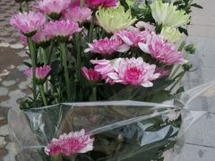 -爱尚幸福鲜花(上地实体店)