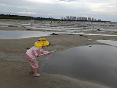 -北海金海湾红树林生态旅游区