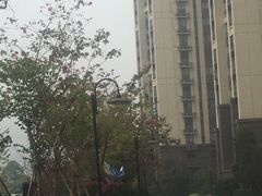 -美的鹭湖森林度假区