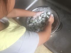 -马陆小张葡萄园农家乐