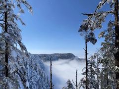 -瓦屋山景区