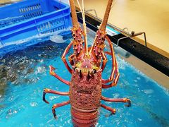 -盒马鲜生(曜一城店)