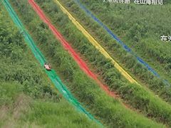 -南戴河国际娱乐中心