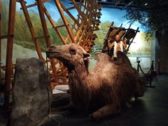 -兰州非物质文化遗产陈列馆